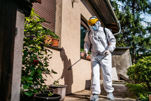 Best Pest Removal Services  in Mcelhattan, PA
