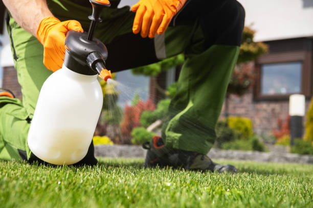 Best Local Pest Control Services  in Mcelhattan, PA