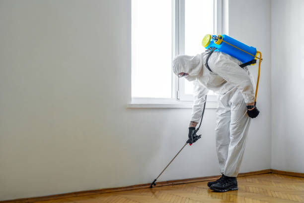 Best Wasp Removal Services  in Mcelhattan, PA