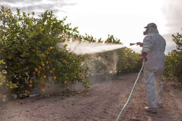 Best Emergency Pest Control  in Mcelhattan, PA
