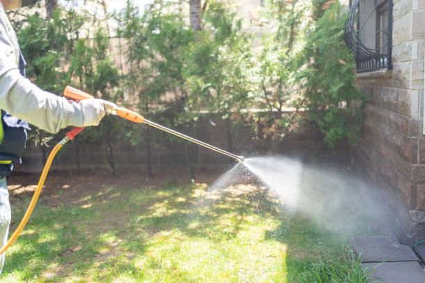 Best Best Pest Control Companies  in Mcelhattan, PA