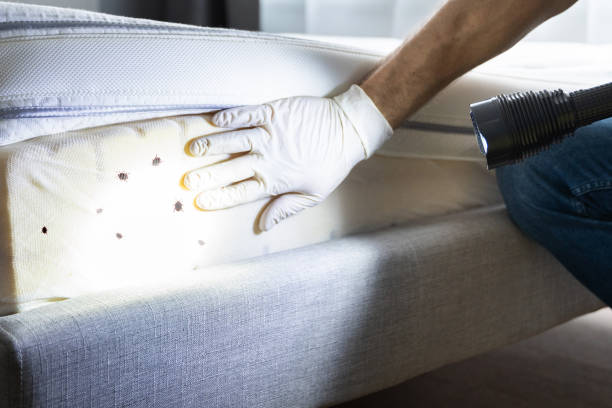 Best Wildlife Control Services  in Mcelhattan, PA