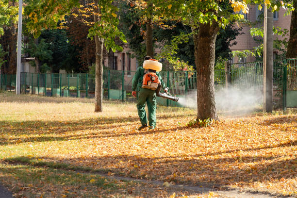 Best Termite Control Services  in Mcelhattan, PA