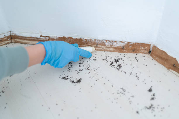 Insect Control in Mcelhattan, PA