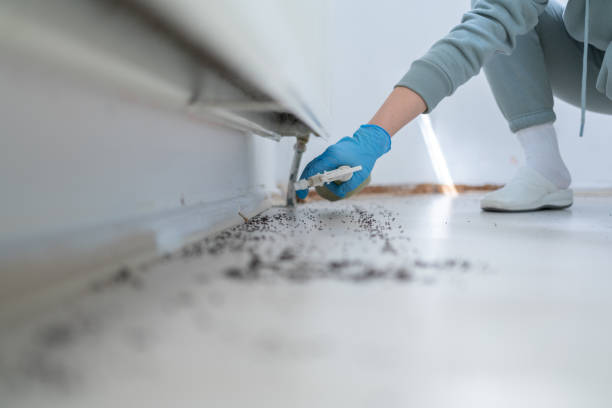 Best Insect Control  in Mcelhattan, PA
